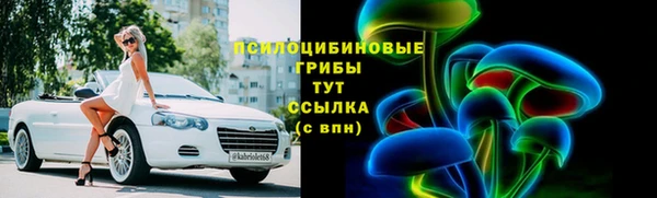 круглые Пересвет