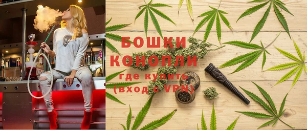 ГАЛЛЮЦИНОГЕННЫЕ ГРИБЫ Балабаново