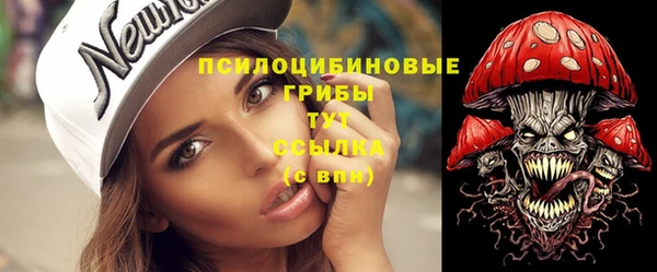 spice Покачи