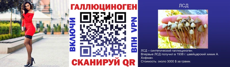 Псилоцибиновые грибы Psilocybine cubensis  Белогорск 
